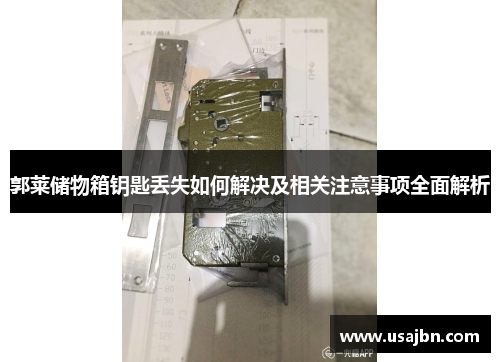 郭莱储物箱钥匙丢失如何解决及相关注意事项全面解析
